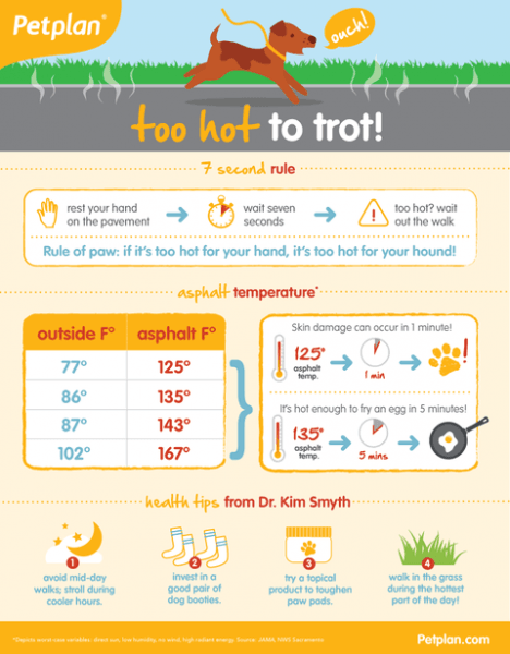 Pavement is too hot for pet paws graphic